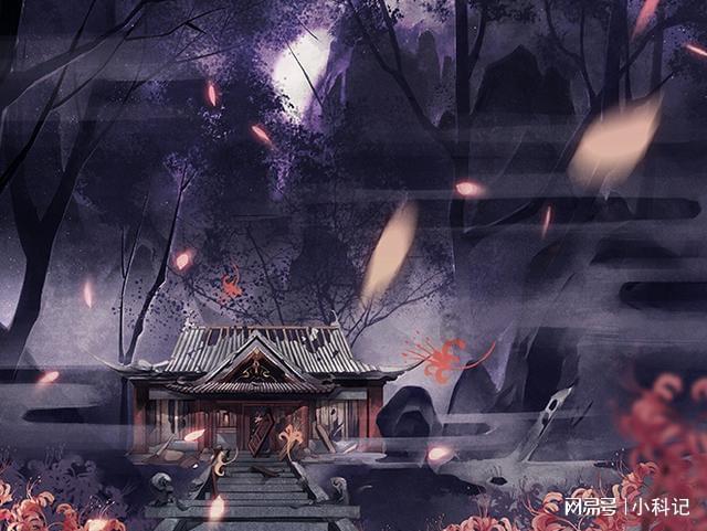 划龙舟吃粽子